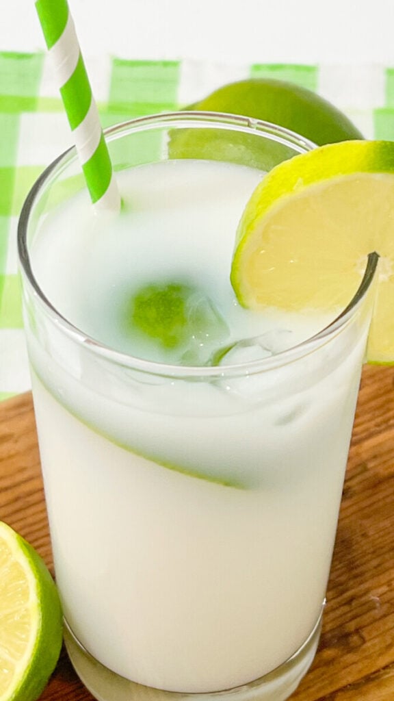 IMG_5700-576x1024 Brazilian Lemonade