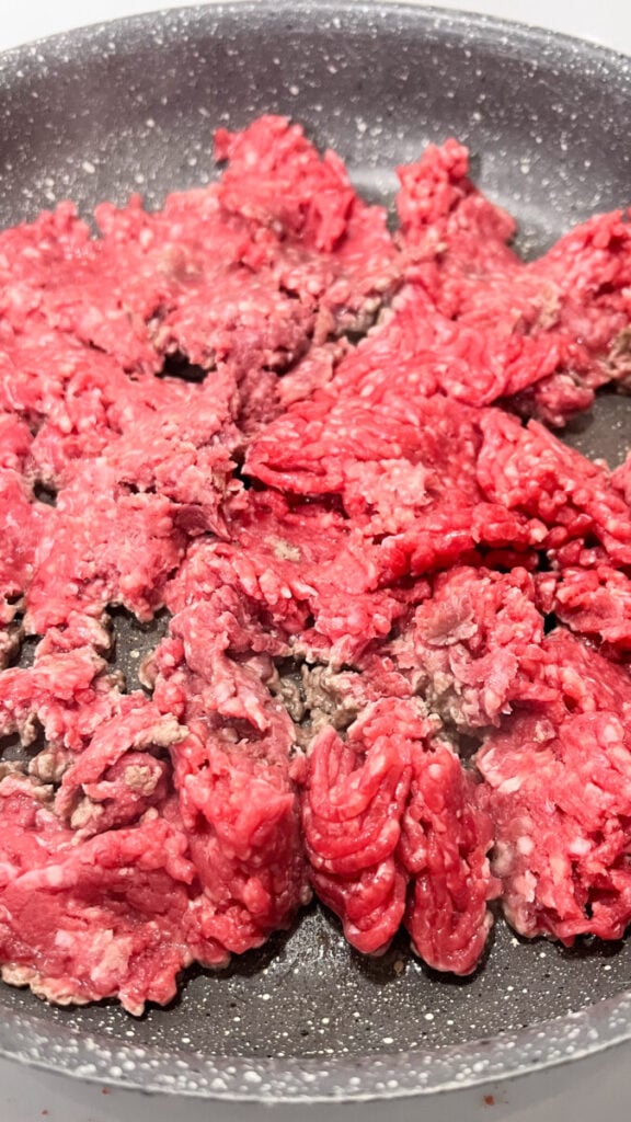 IMG_6620-576x1024 Taco Meat Recipe