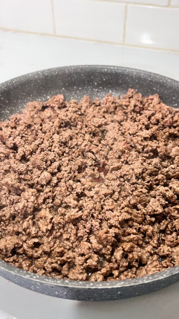 IMG_6623-1-576x1024 Taco Meat Recipe