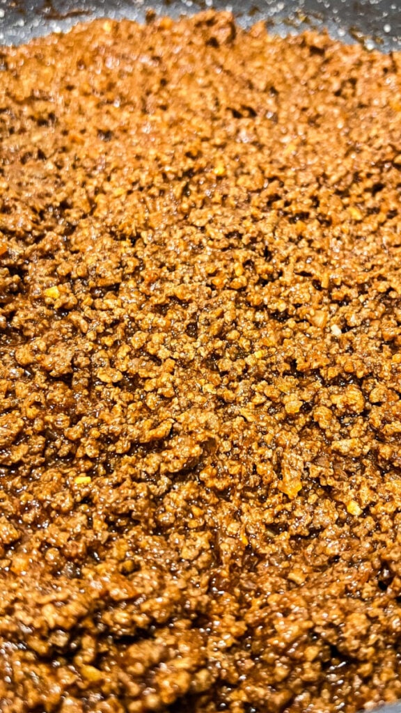 IMG_6707-1-576x1024 Taco Meat Recipe