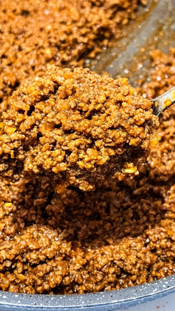 IMG_6710-576x1024 Taco Meat Recipe