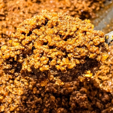  IMG_6711-480x480 Taco Meat Recipe  