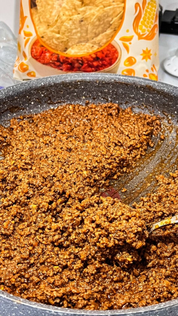 IMG_6714-2-576x1024 Taco Meat Recipe