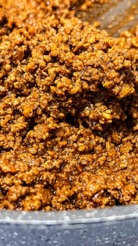 IMG_6720-1-576x1024 Taco Meat Recipe