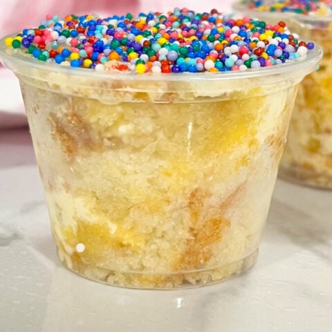  IMG_6769-480x480 Dot Cake Recipe  