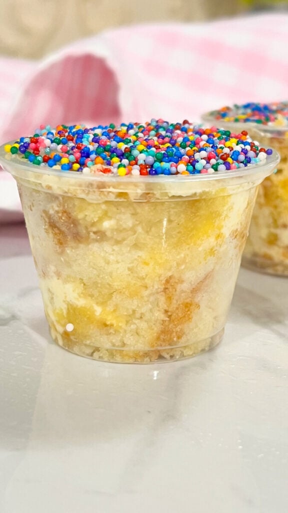 IMG_6769-576x1024 Dot Cake Recipe