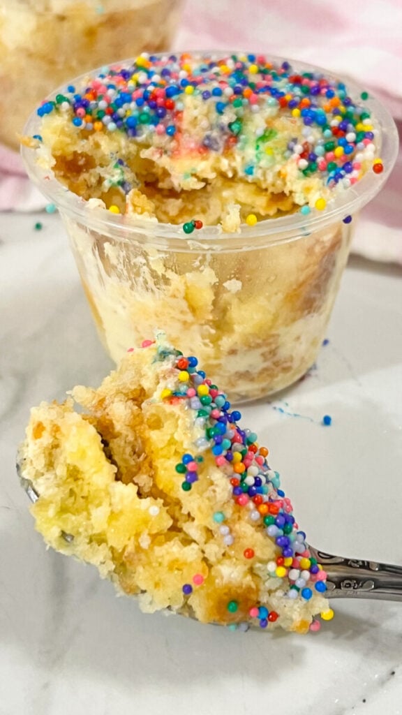 IMG_6814-576x1024 Dot Cake Recipe