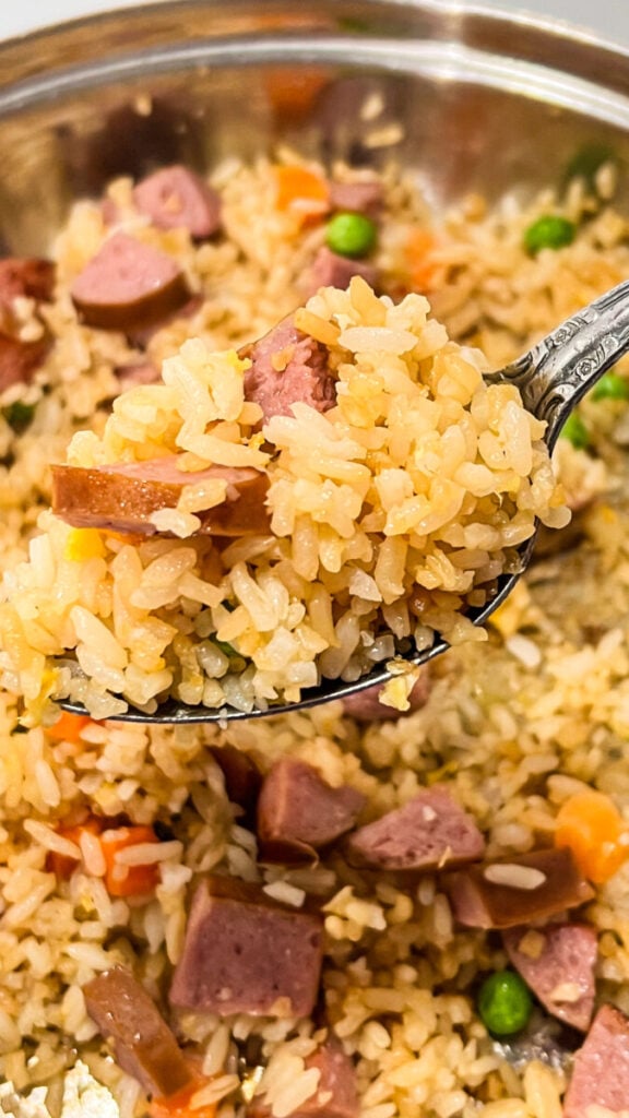 IMG_7091-576x1024 Kielbasa Fried Rice