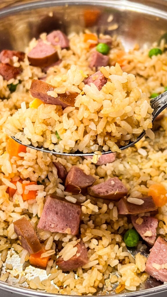 IMG_7092-576x1024 Kielbasa Fried Rice