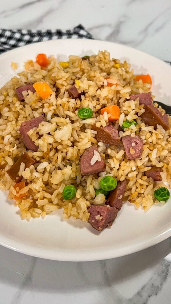 IMG_7093-576x1024 Kielbasa Fried Rice