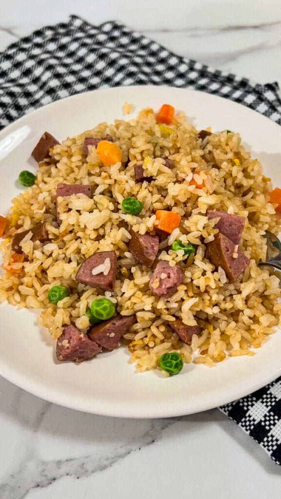 IMG_7095-576x1024 Kielbasa Fried Rice