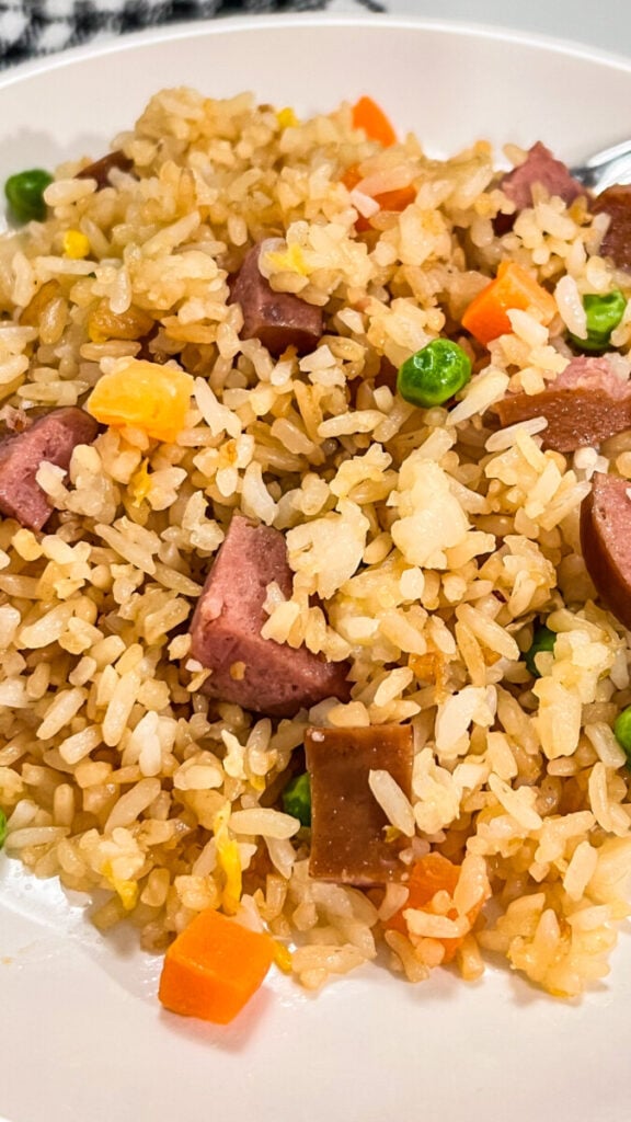 IMG_7112-576x1024 Kielbasa Fried Rice