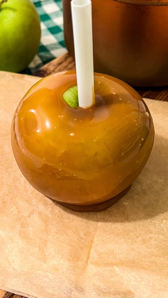  IMG_7846-1-576x1024 Homemade Caramel Apples  