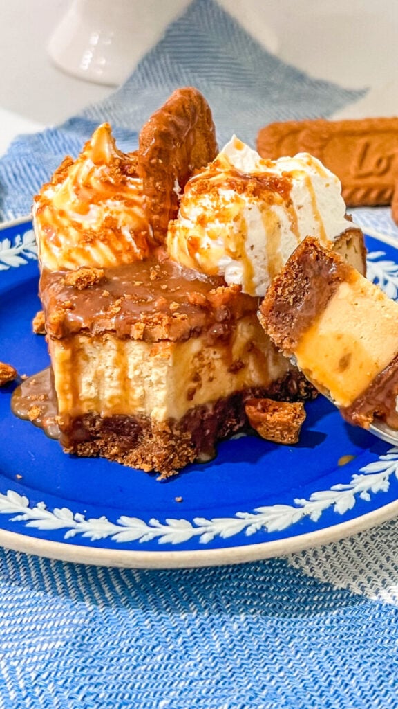 IMG_8115-1-576x1024 Biscoff Caramel Cheesecake