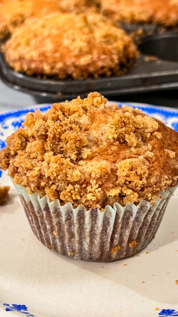  IMG_8777-576x1024 Coffee Cake Muffins  
