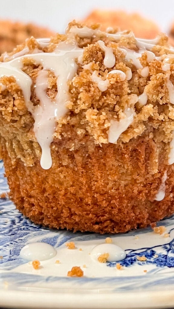  IMG_8902-1-576x1024 Coffee Cake Muffins  