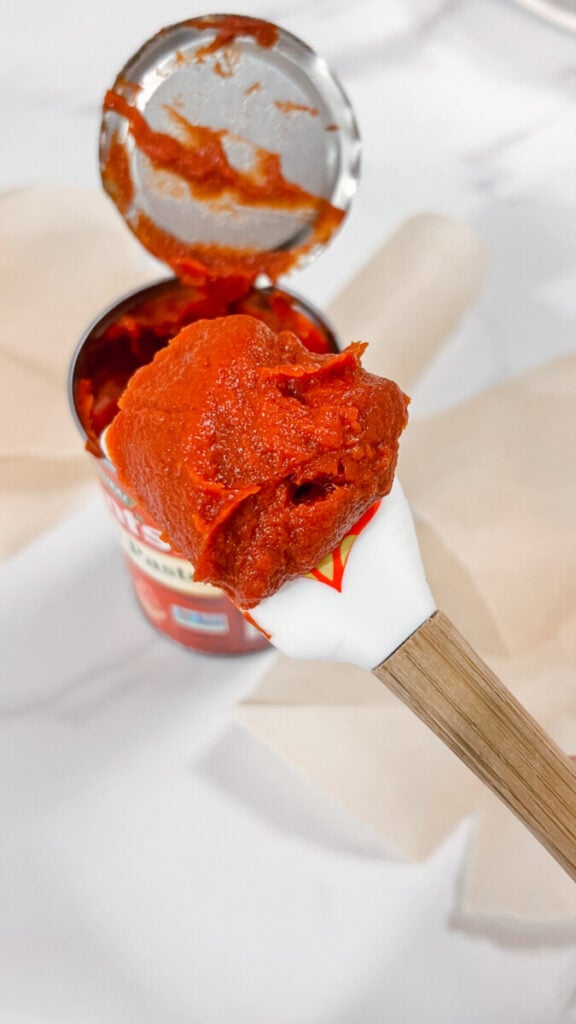  IMG_8951-576x1024 How to Freeze Tomato Paste  