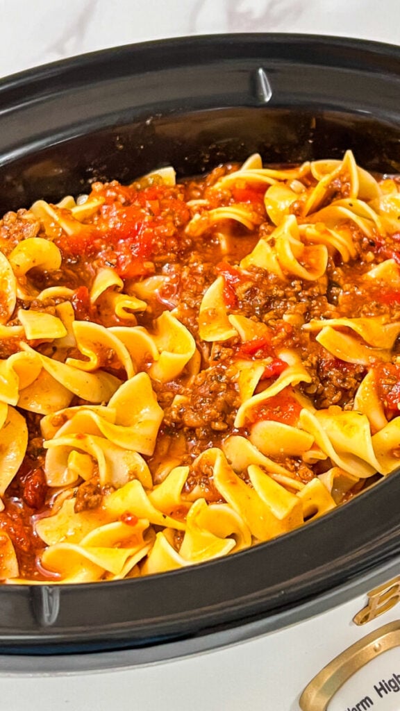 IMG_9086-576x1024 Slow Cooker Noodles and Meat Sauce  