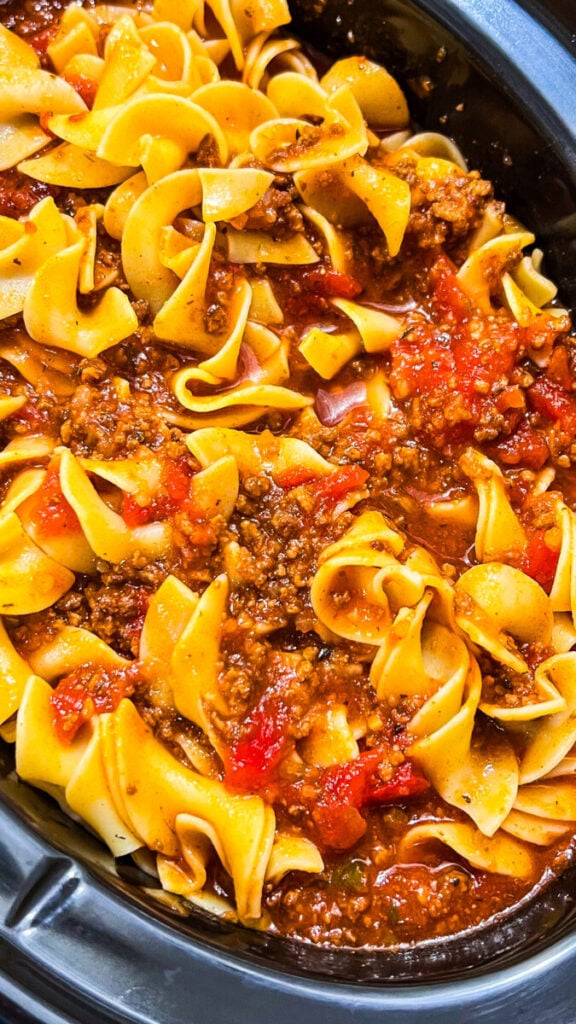  IMG_9106-576x1024 Slow Cooker Noodles and Meat Sauce  