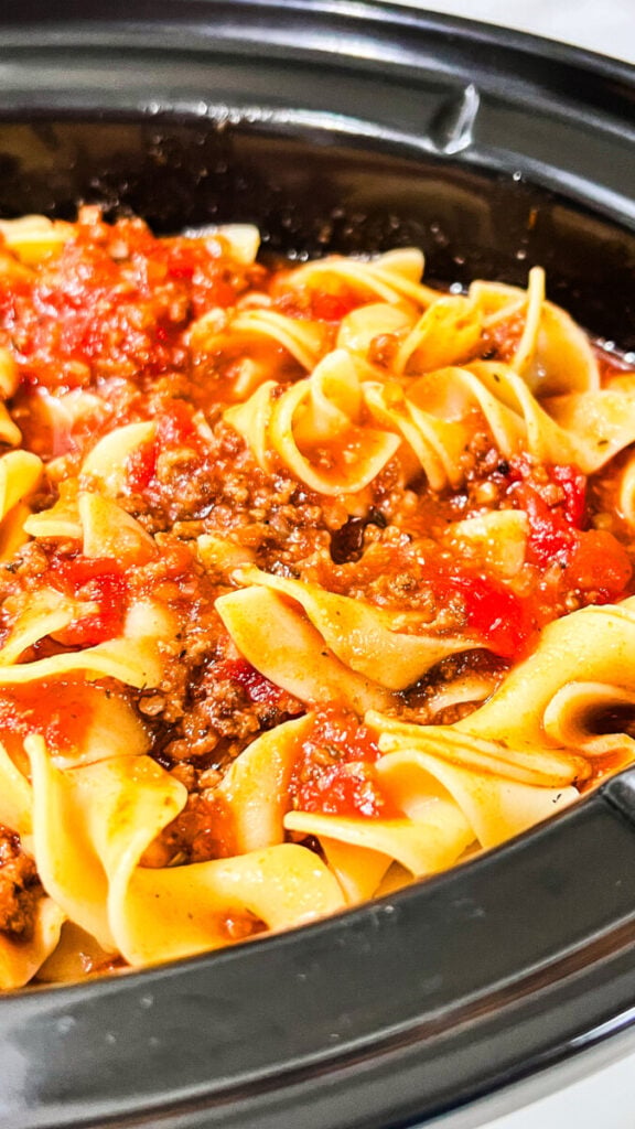  IMG_9110-576x1024 Slow Cooker Noodles and Meat Sauce  