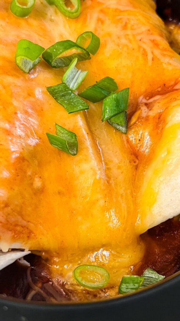 IMG_1092-576x1024 Crockpot Rotisserie Chicken Enchiladas