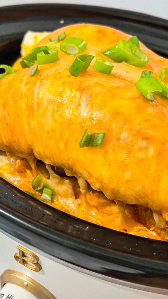 IMG_1096-576x1024 Crockpot Rotisserie Chicken Enchiladas