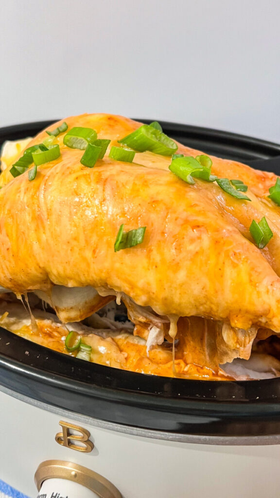 IMG_1097-576x1024 Crockpot Rotisserie Chicken Enchiladas