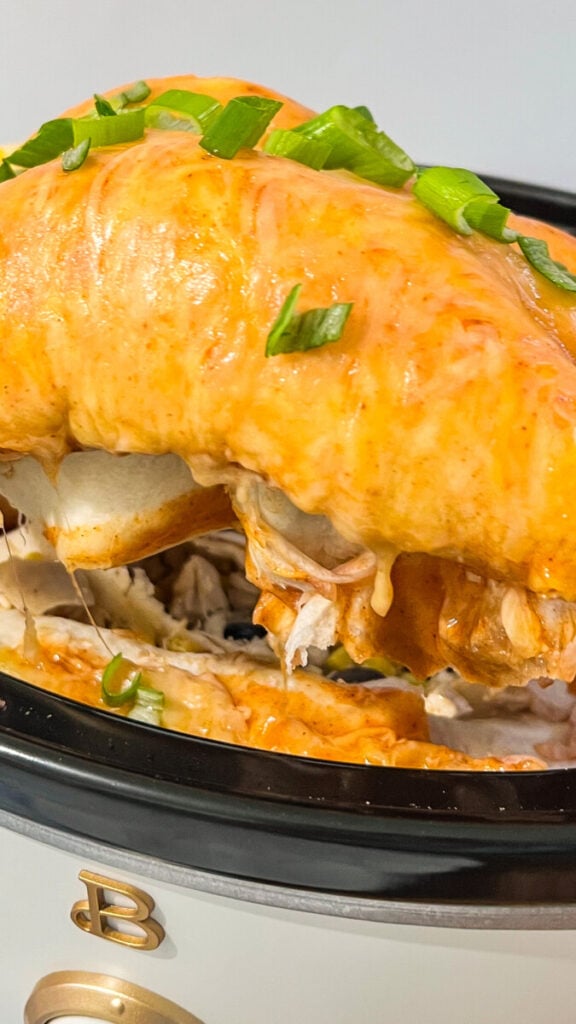 IMG_1098-576x1024 Crockpot Rotisserie Chicken Enchiladas