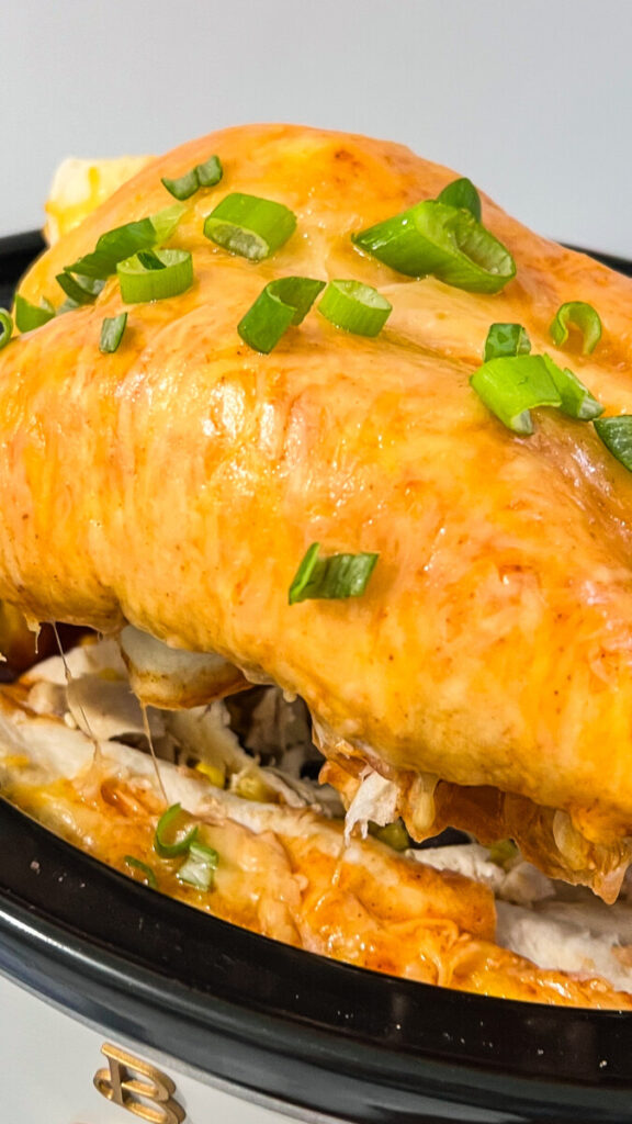 IMG_1099-576x1024 Crockpot Rotisserie Chicken Enchiladas