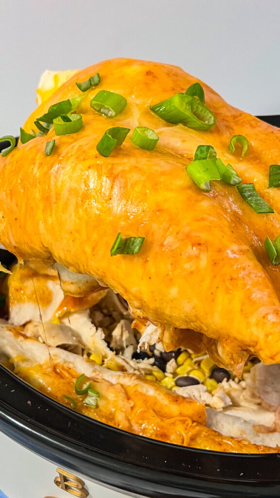 IMG_1100-576x1024 Crockpot Rotisserie Chicken Enchiladas