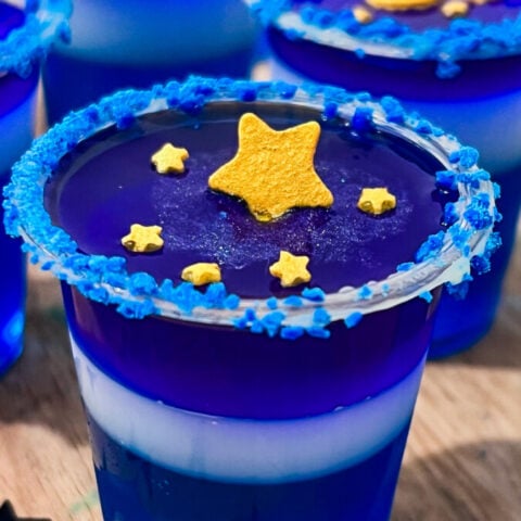  IMG_1542-480x480 Moonlit Night Jell-O Shots  