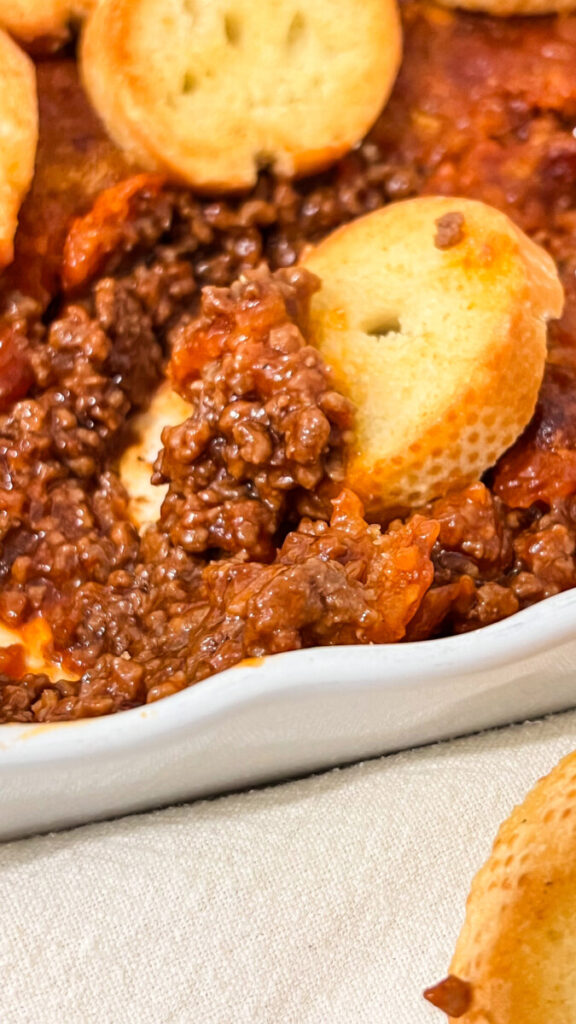 IMG_2417-576x1024 Sloppy Joe Dip