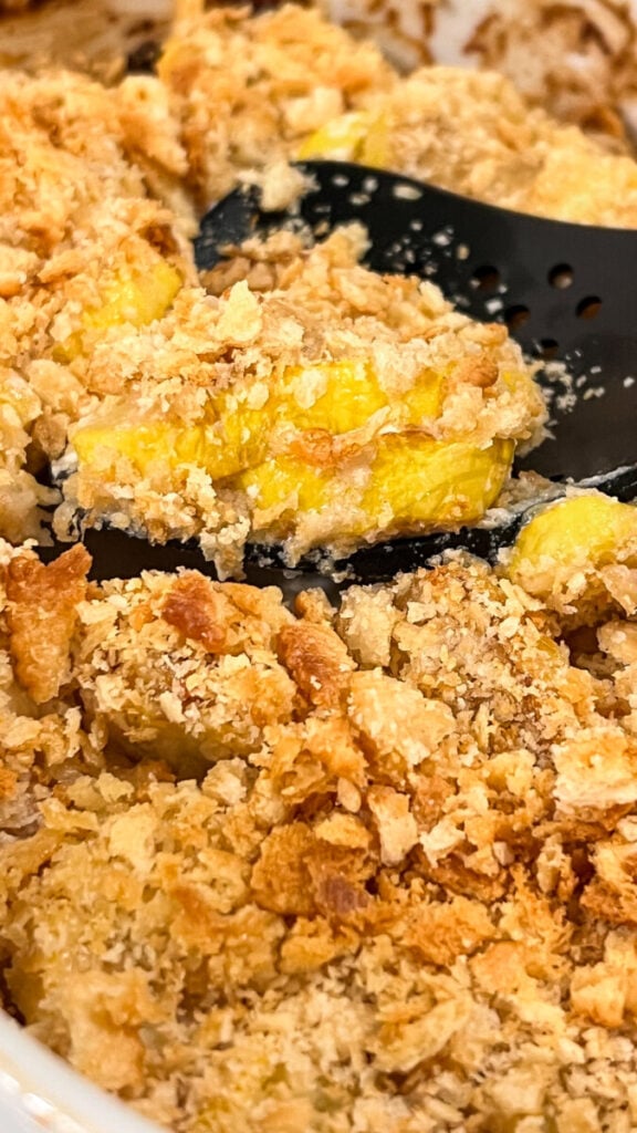  IMG_2830-1-576x1024 Squash Casserole  