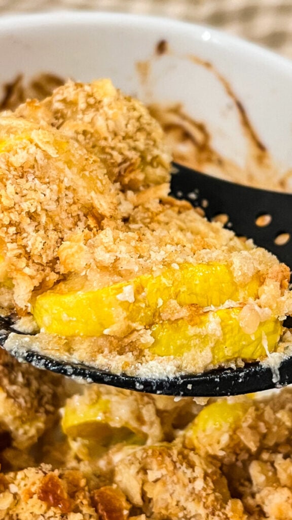  IMG_2831-576x1024 Squash Casserole  