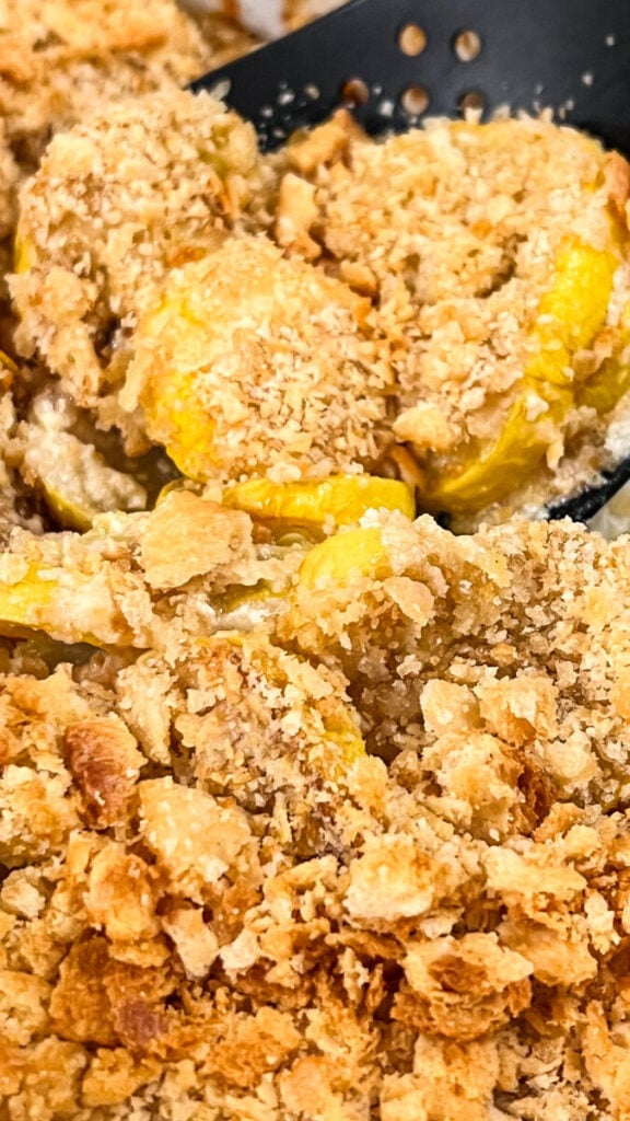  IMG_2853-576x1024 Squash Casserole  