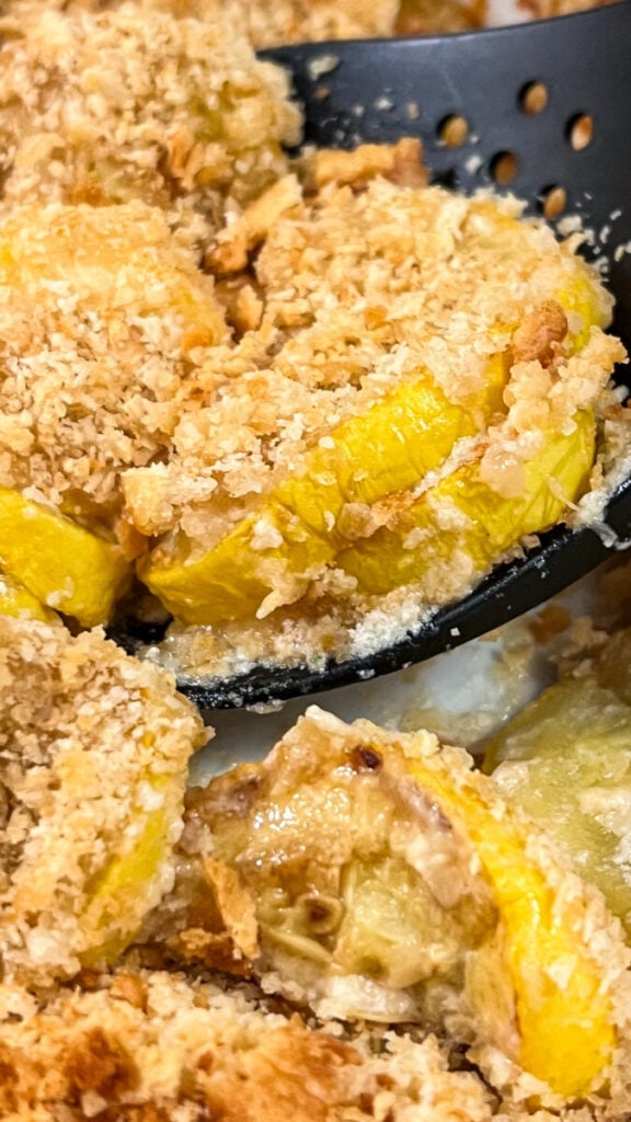  IMG_2854-576x1024 Squash Casserole  