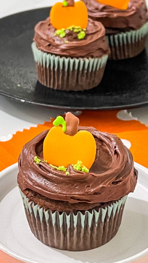 IMG_2976-1-576x1024 Pumpkin Patch Chocolate Cupcakes