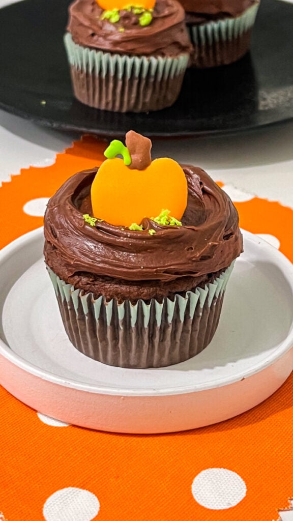 IMG_2993-576x1024 Pumpkin Patch Chocolate Cupcakes