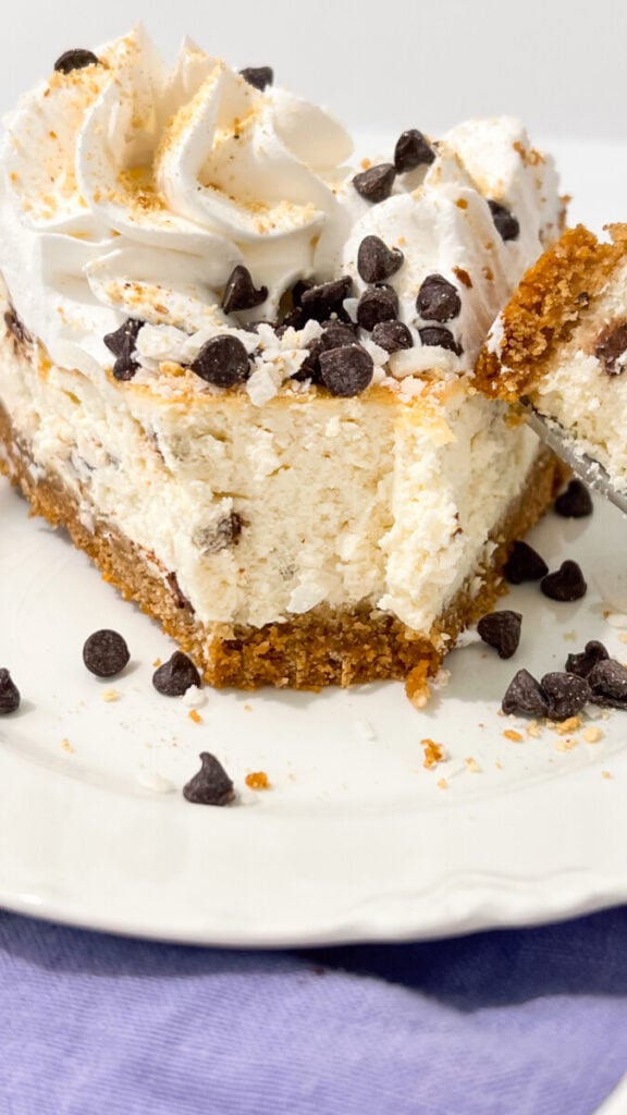 IMG_3514-576x1024 Hello Dolly Cheesecake