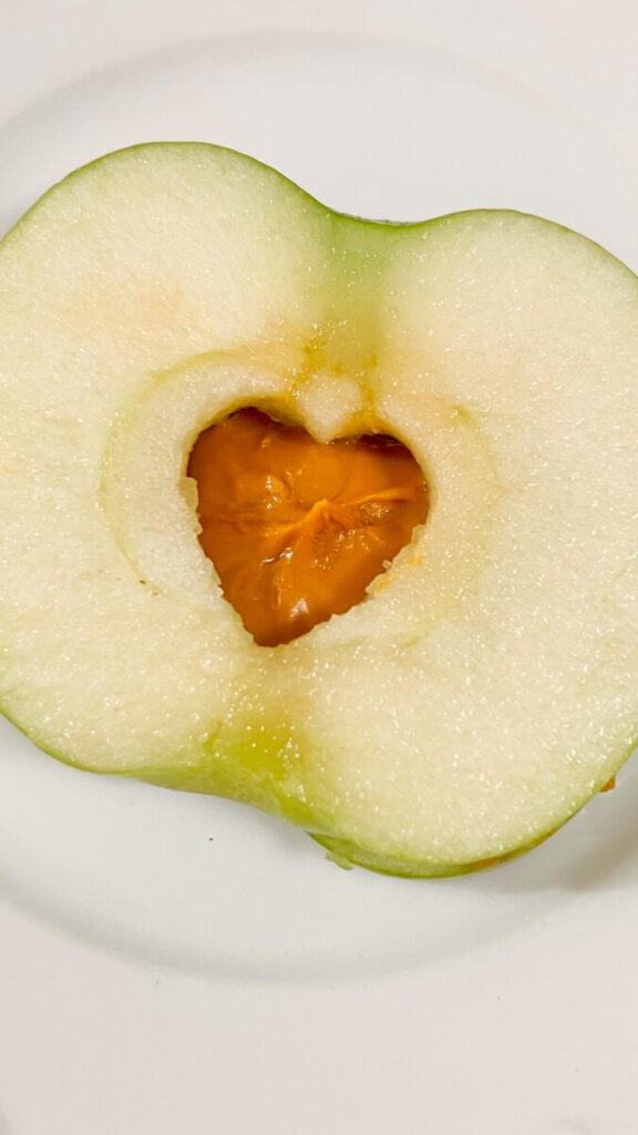  IMG_3730-576x1024 Heart Apple Peanut Butter Sandwiches  