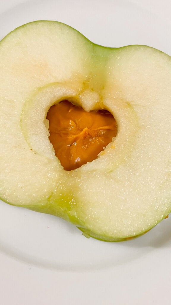  IMG_3731-576x1024 Heart Apple Peanut Butter Sandwiches  