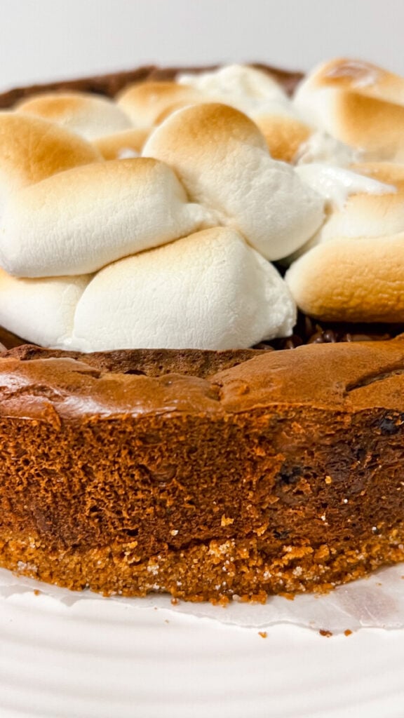  IMG_3954-576x1024 S'mores Cheesecake  