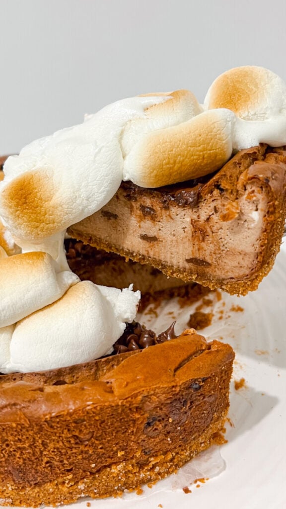  IMG_3965-576x1024 S'mores Cheesecake  