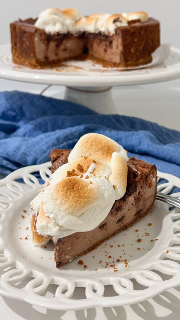 IMG_3968-576x1024 S'mores Cheesecake  