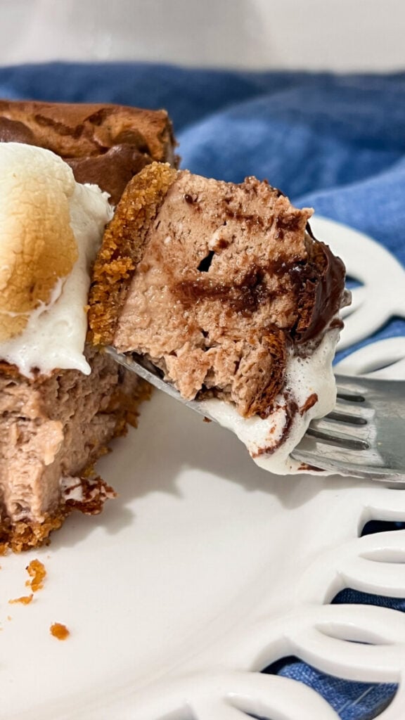  IMG_3991-576x1024 S'mores Cheesecake  