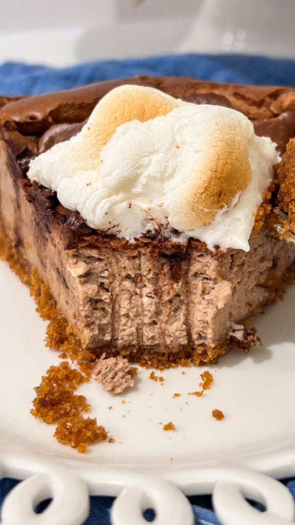  IMG_3998-576x1024 S'mores Cheesecake  