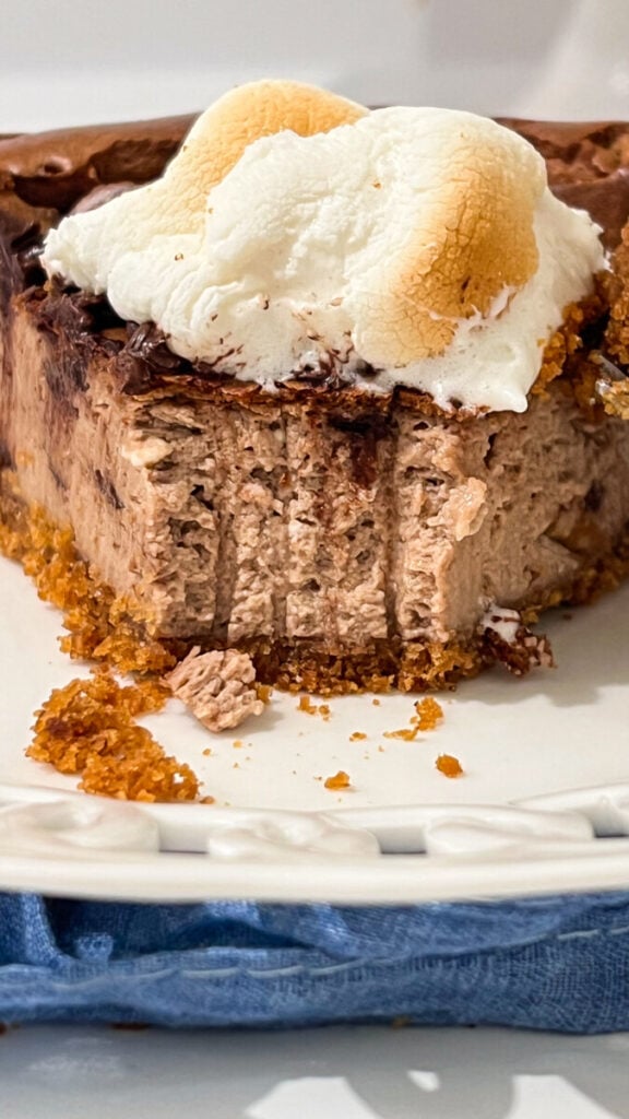  IMG_3999-576x1024 S'mores Cheesecake  