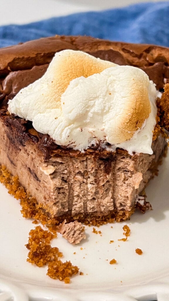  IMG_4005-576x1024 S'mores Cheesecake  