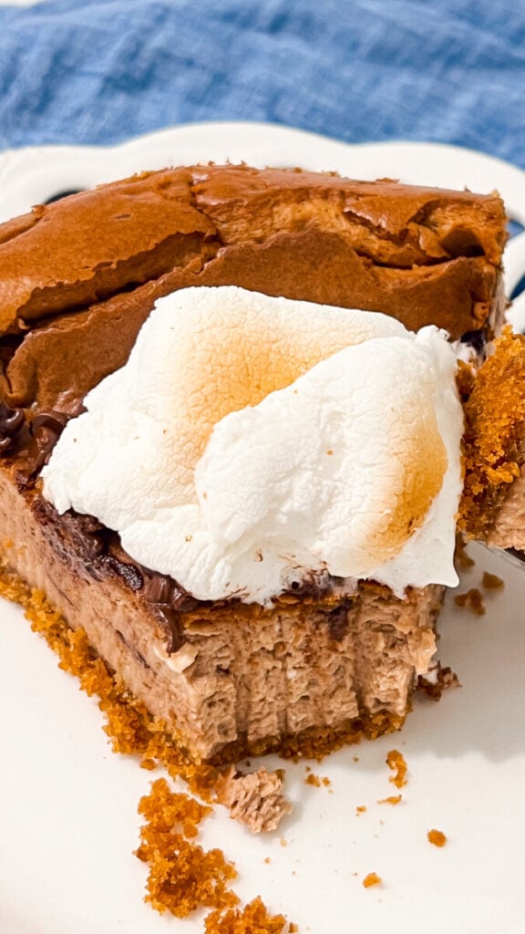  IMG_4011-576x1024 S'mores Cheesecake  