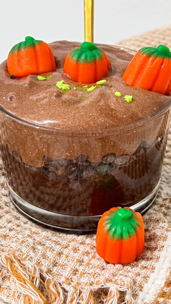 IMG_4692-576x1024 Pumpkin Patch Chocolate Mousse Cups